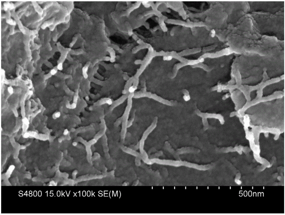 Preparation method for thermoelectric composite material of polyaniline in-situ polymerization clad PEDOT modified nano-carbon
