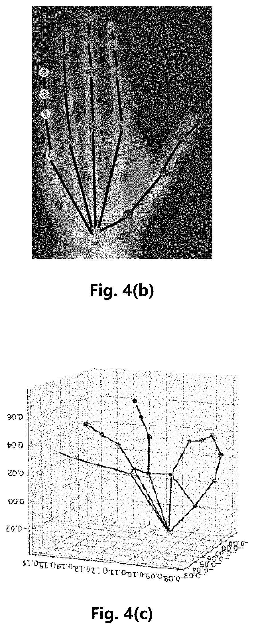 Method for automatically generating hand marking data and calculating bone length