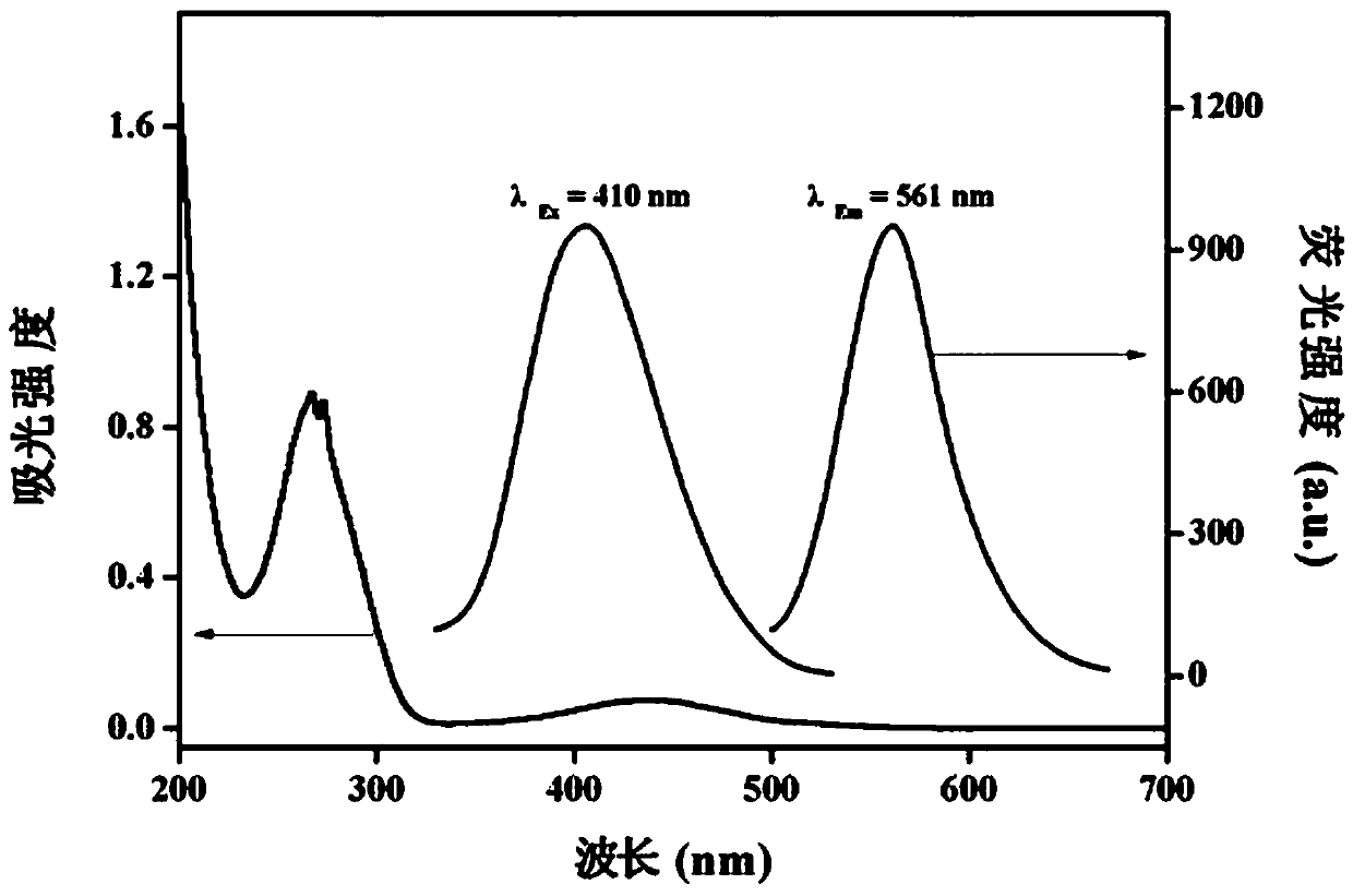 Fluorescent probe for quantitatively detecting acidic or basic amino acids on basis of carbon quantum dot fluorescence quenching or enhancement method and preparation method for fluorescent probe