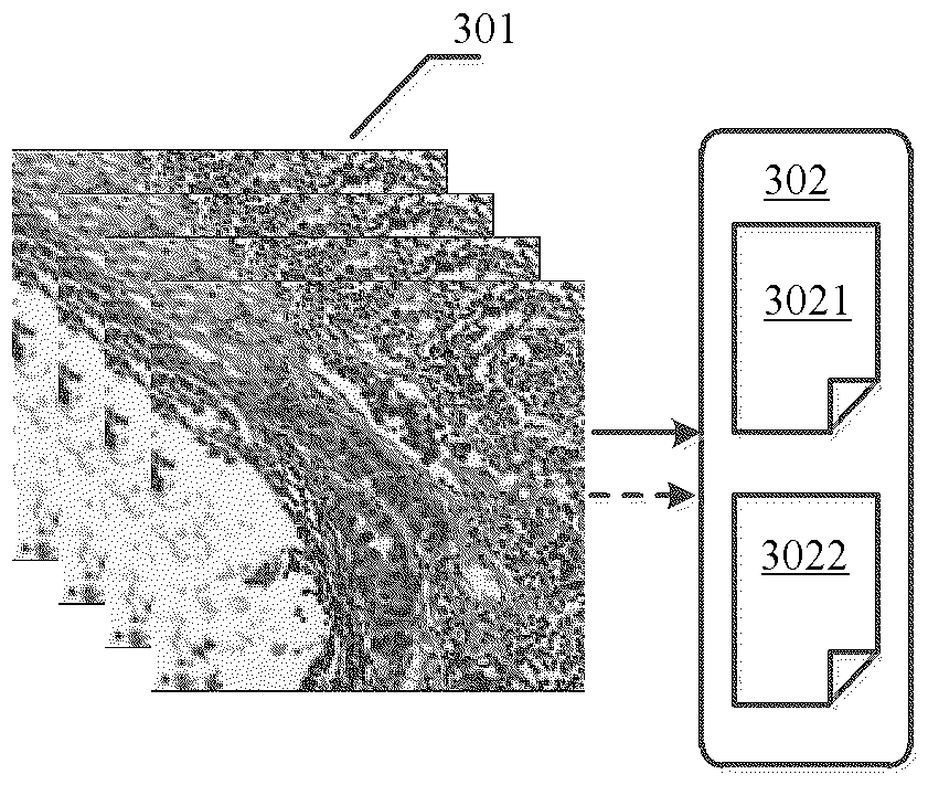 A medical image classification method, model training method and server