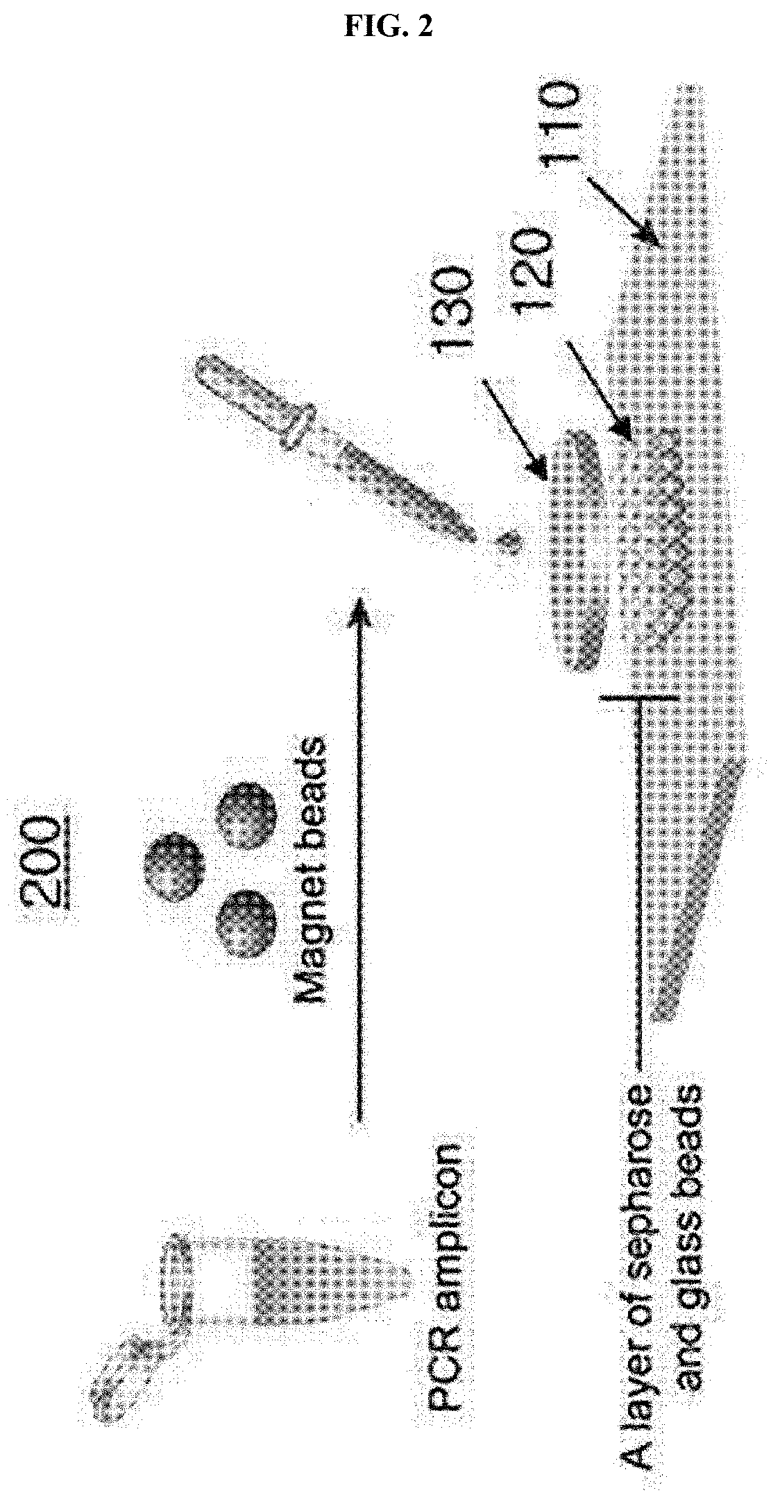 Paper-based, nucleic acid-detecting kit and method for analysis of PCR amplicon