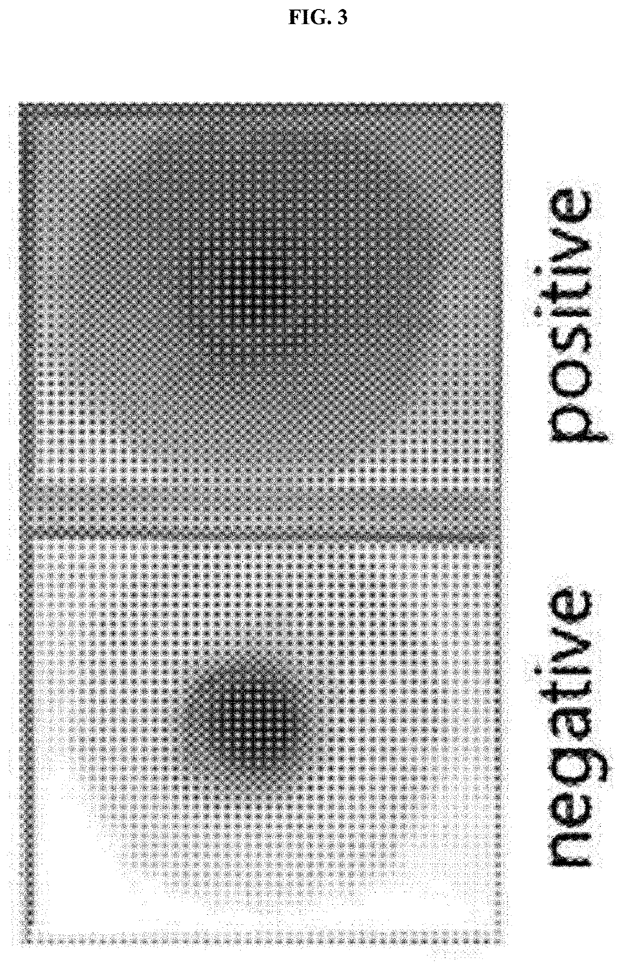 Paper-based, nucleic acid-detecting kit and method for analysis of PCR amplicon