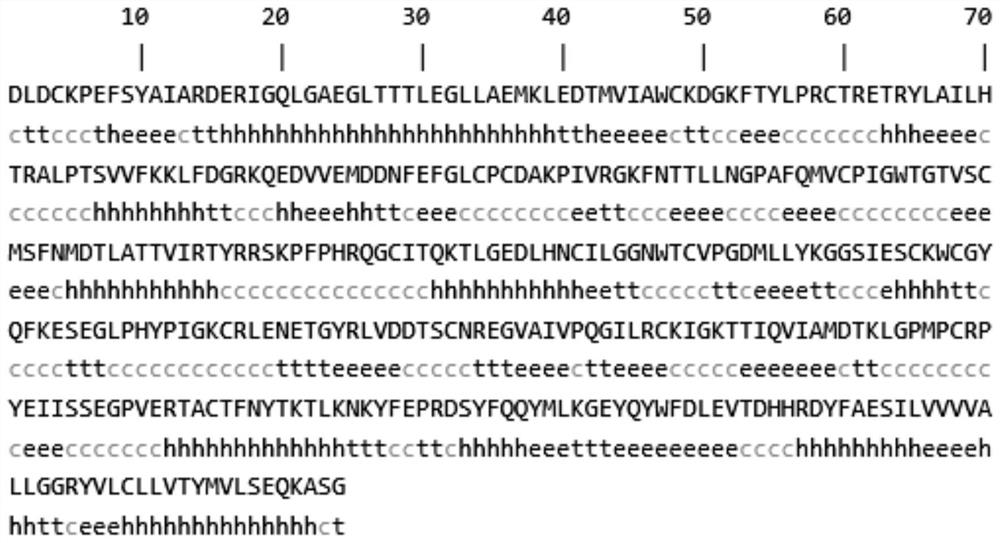 An expression protein for detecting bovine viral diarrhea virus antibody, ELISA kit, preparation method and application thereof