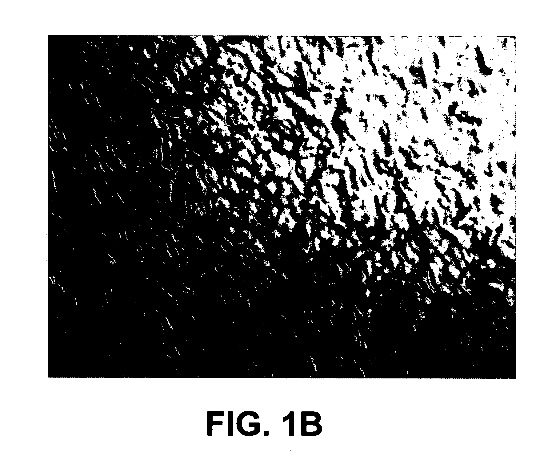 Controlled phase transition of metals