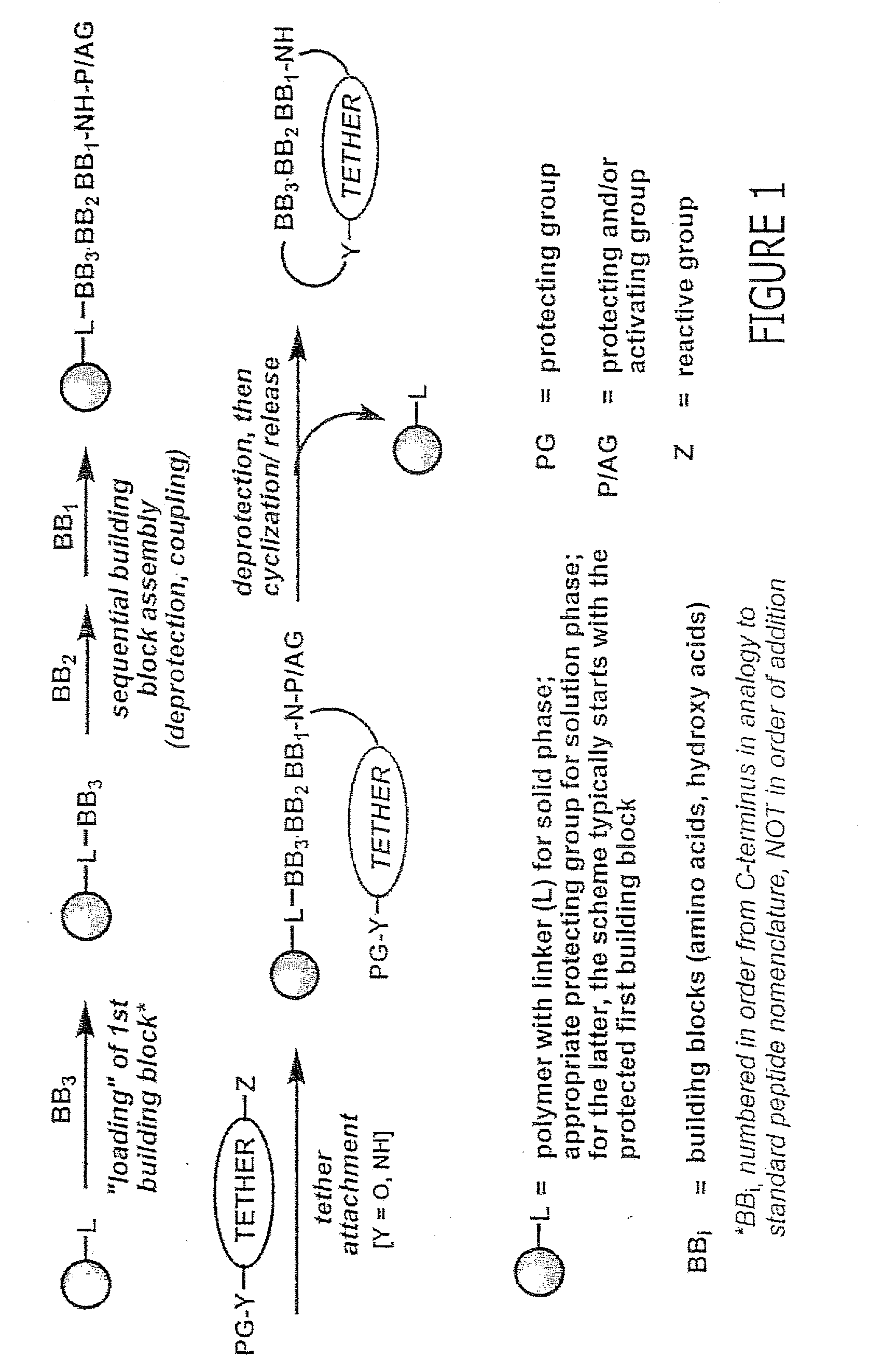 Macrocyclic Modulators of the Ghrelin Receptor