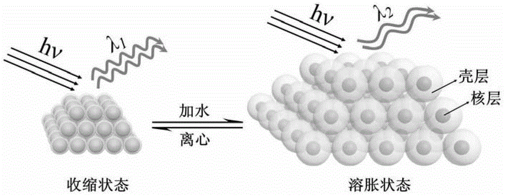 Preparation method of polymer photonic crystal with wide-range adjustable photonic bandgap
