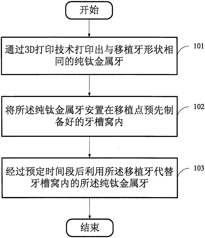 Making method of pure titanium tooth, and method for autotransplanting by means of pure titanium tooth