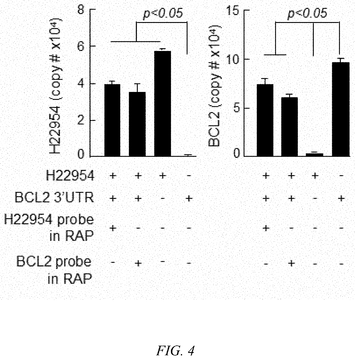 Long-chain non-coding RNA based bcl2 gene inhibitor