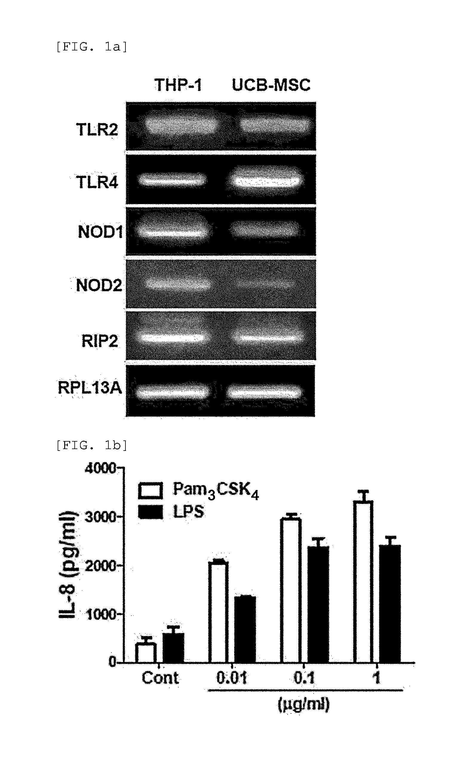"Pharmaceutical Composition Comprising Stem Cells Treated with NOD2 Agonist or Culture Thereof for Prevention and Treatment of Immune Disorders and Inflammatory Diseases"