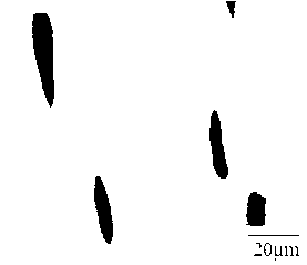 Low-carbon high-sulfur free-cutting steel with excellent cutting performance and manufacturing method thereof