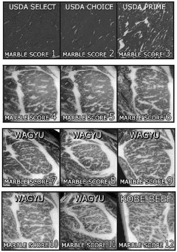 Methods of Improving the Marbling Density of Pure Blood Wagyu Beef