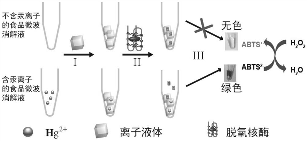 A method for rapid detection of mercury content in food based on ionic liquid