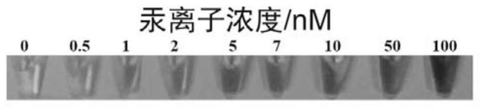 A method for rapid detection of mercury content in food based on ionic liquid