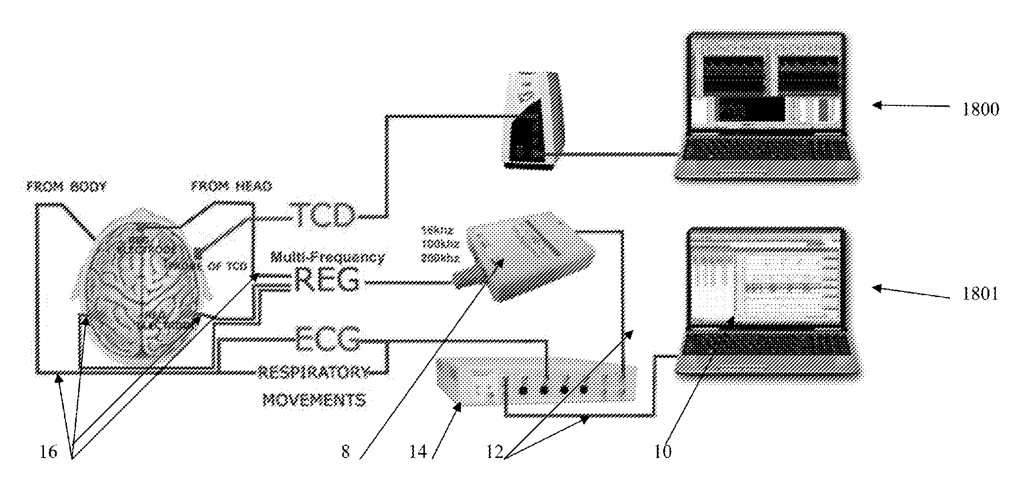 Measurement of physiological characteristics