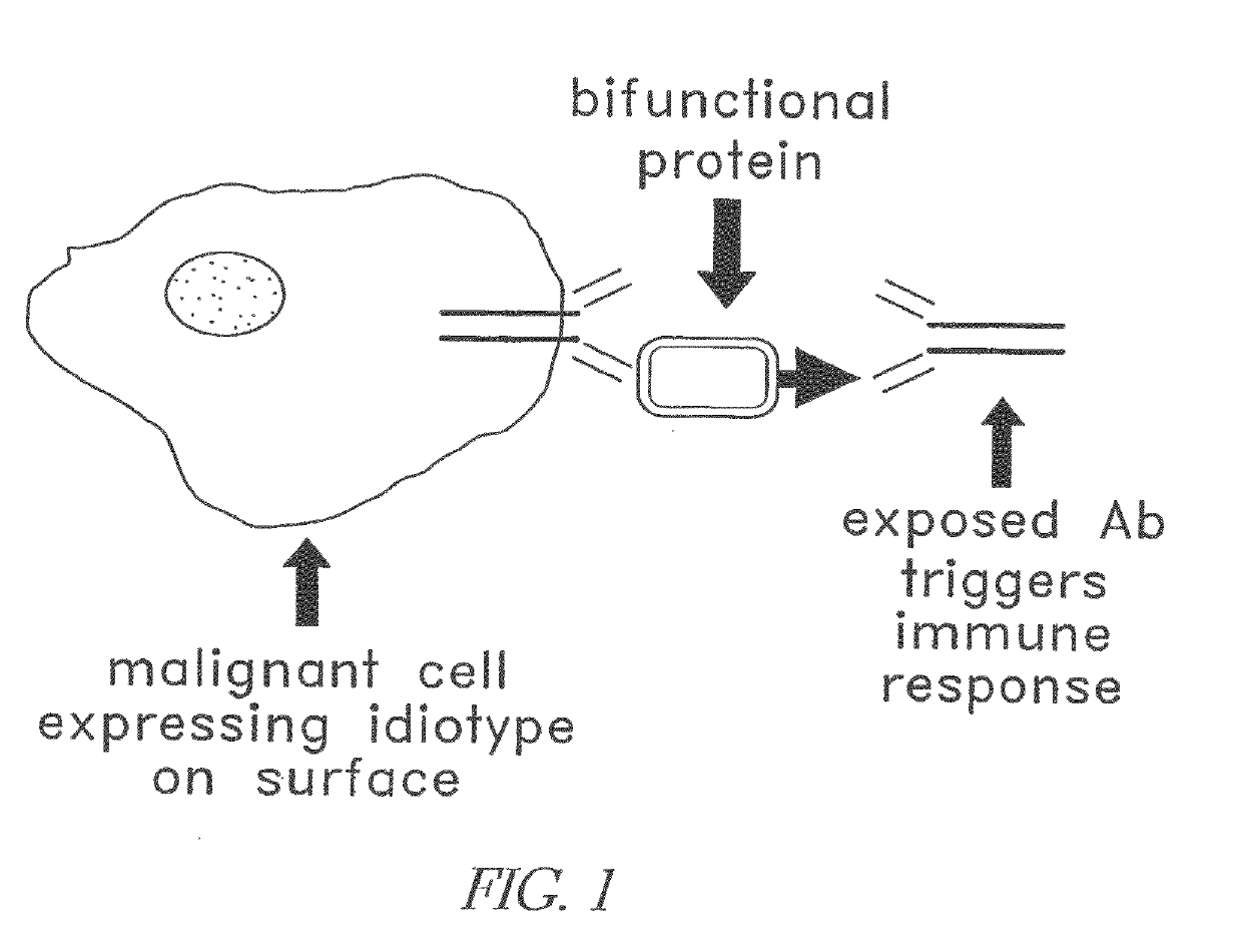 Modular targeted therapeutic agents and methods of making same