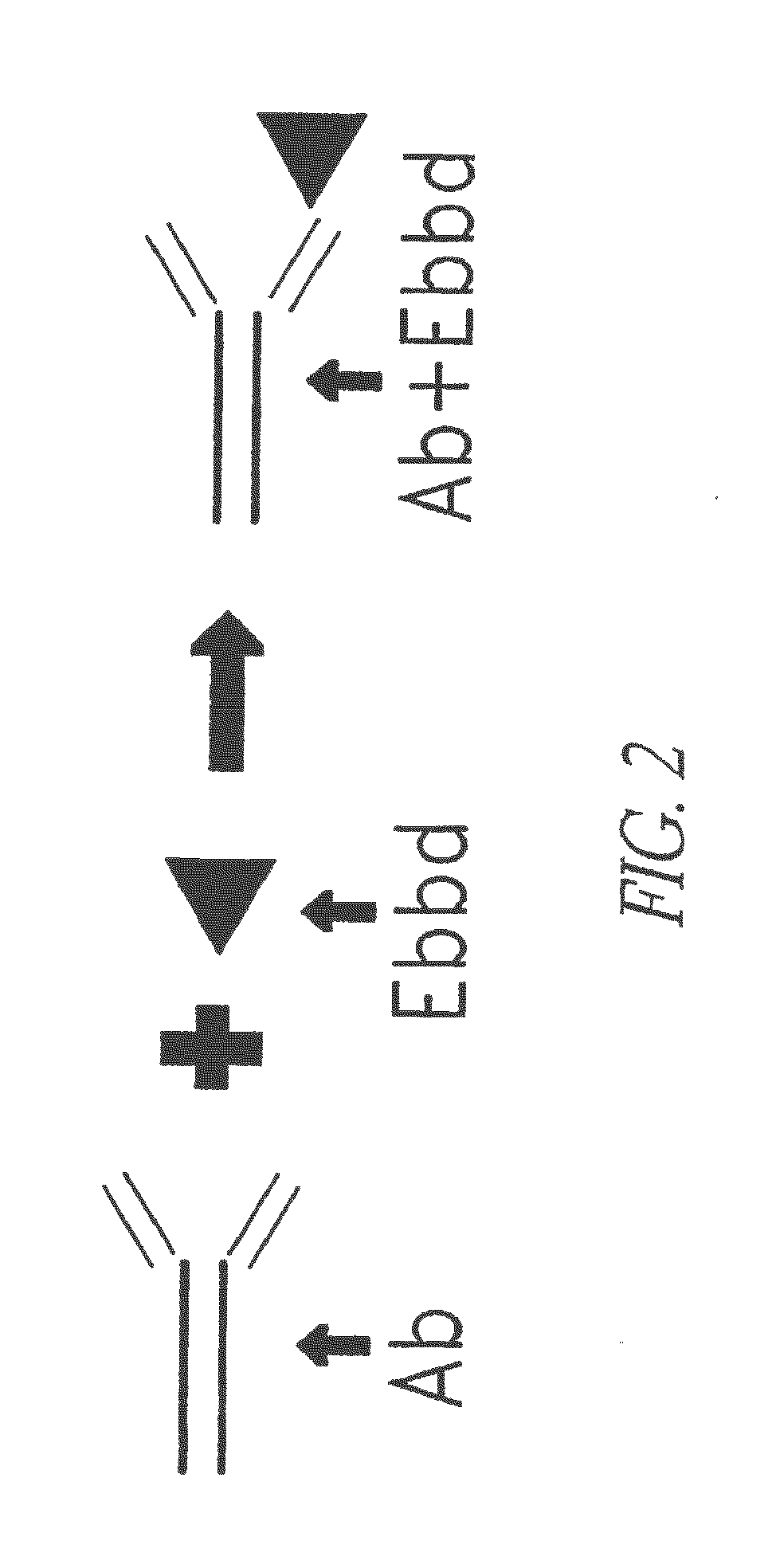 Modular targeted therapeutic agents and methods of making same