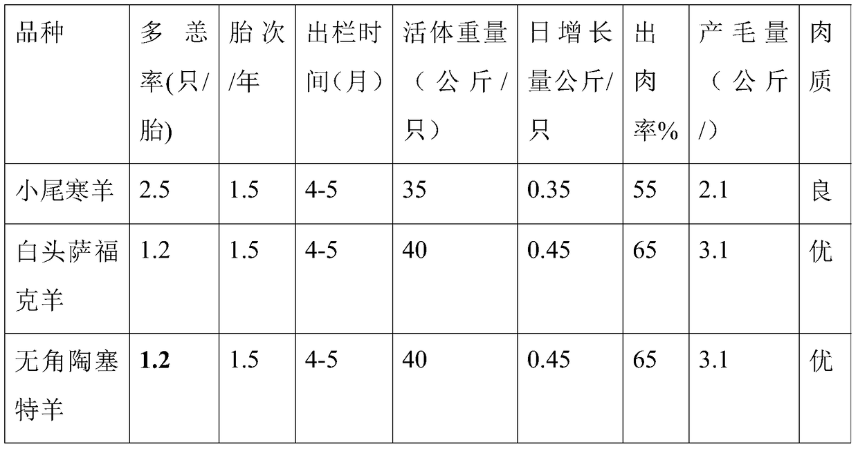 A kind of breeding method of three-element hybrid sheep