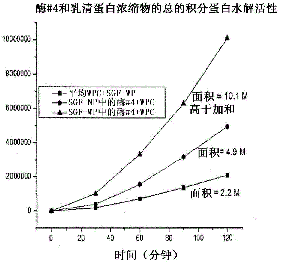 protease-enzymes-for-increased-protein-digestion-rate-and-absorption