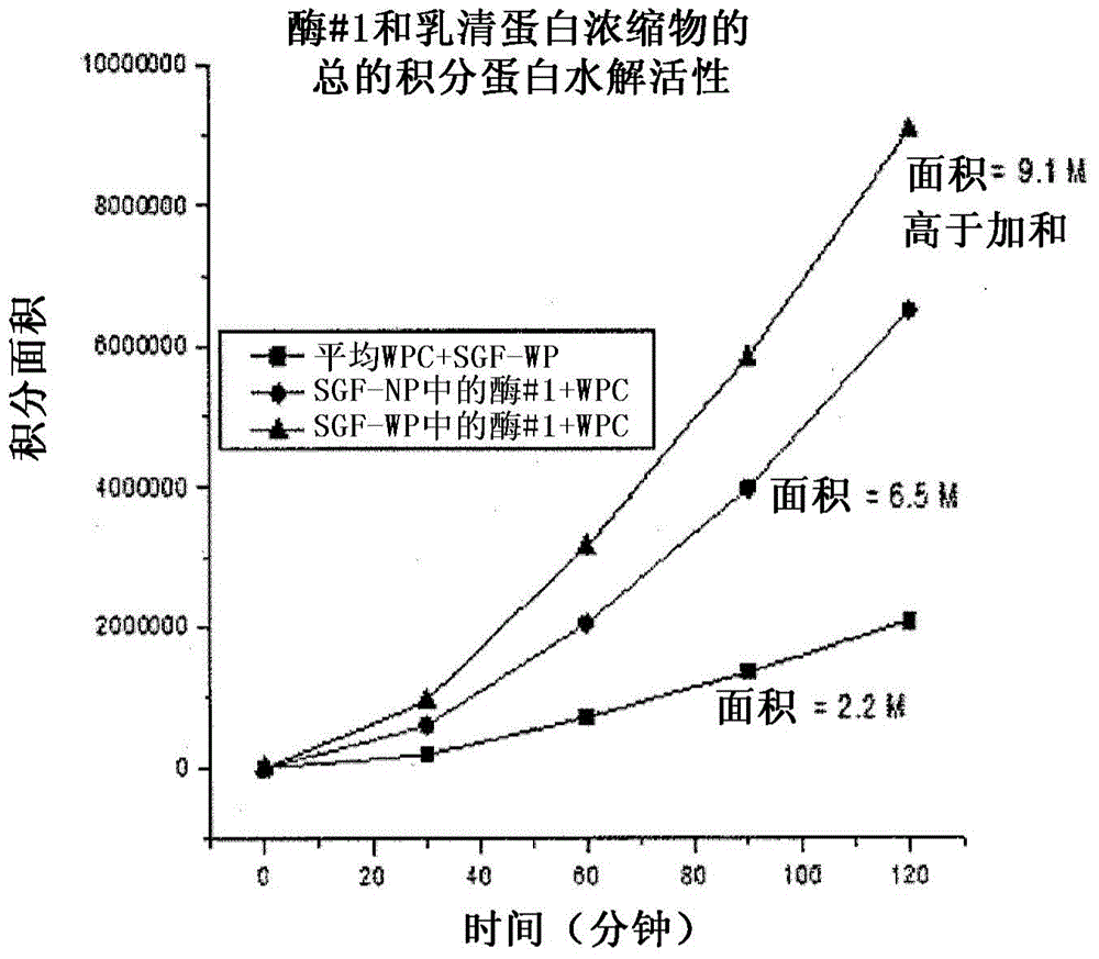 Protease enzymes for increased protein digestion rate and absorption and methods of using the same