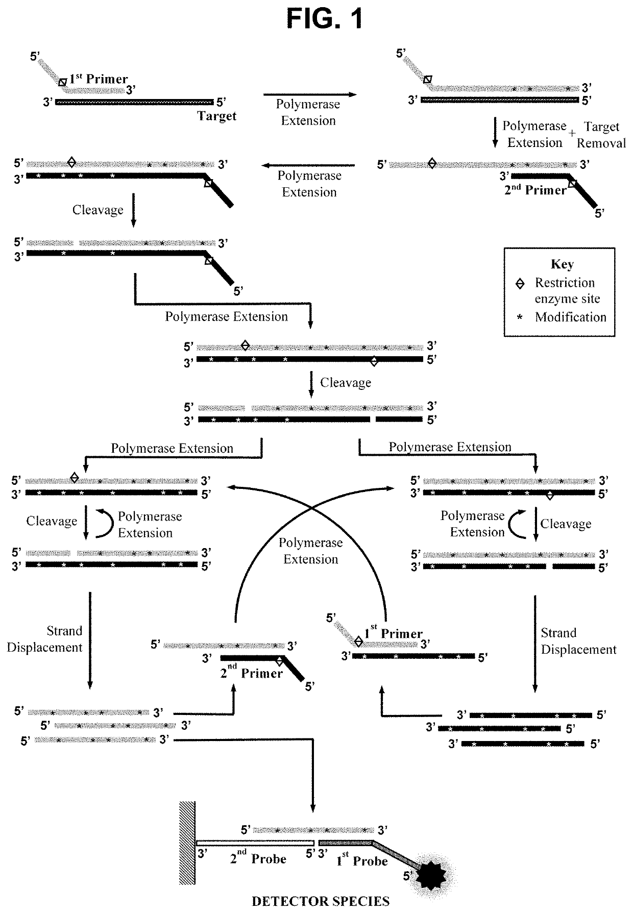 Nucleic acid detection method