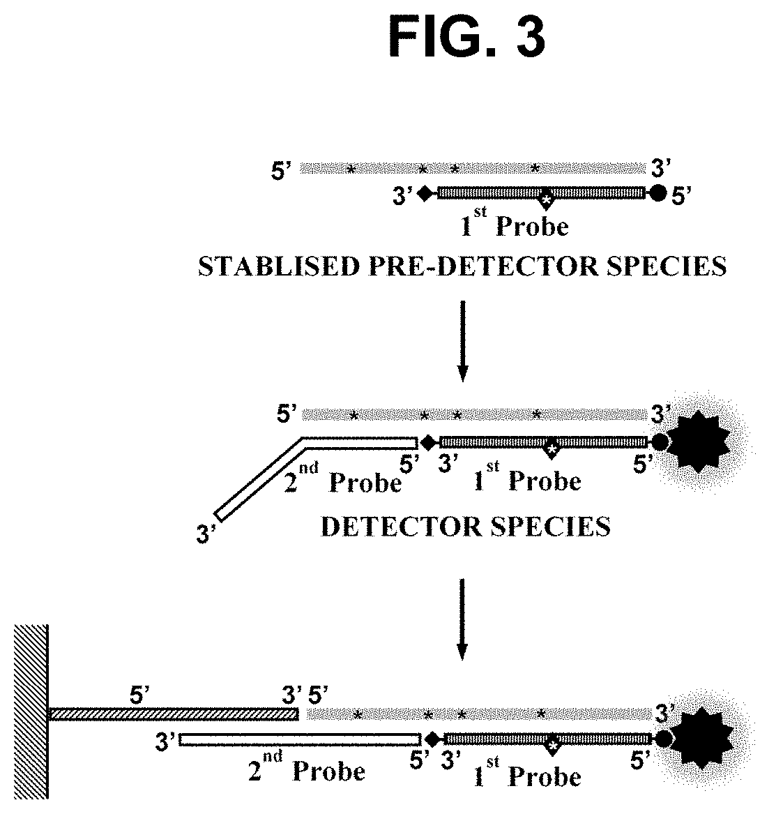 Nucleic acid detection method