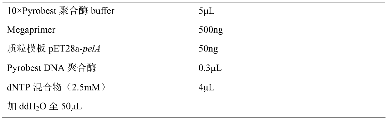 Thermostable alkaline pectinase mutants and their coding genes and their applications