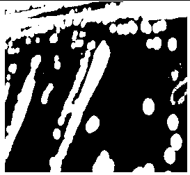 4, 5 diamino 1-pyrazole sulphate degradation bacteria and bacterium agent produced by same