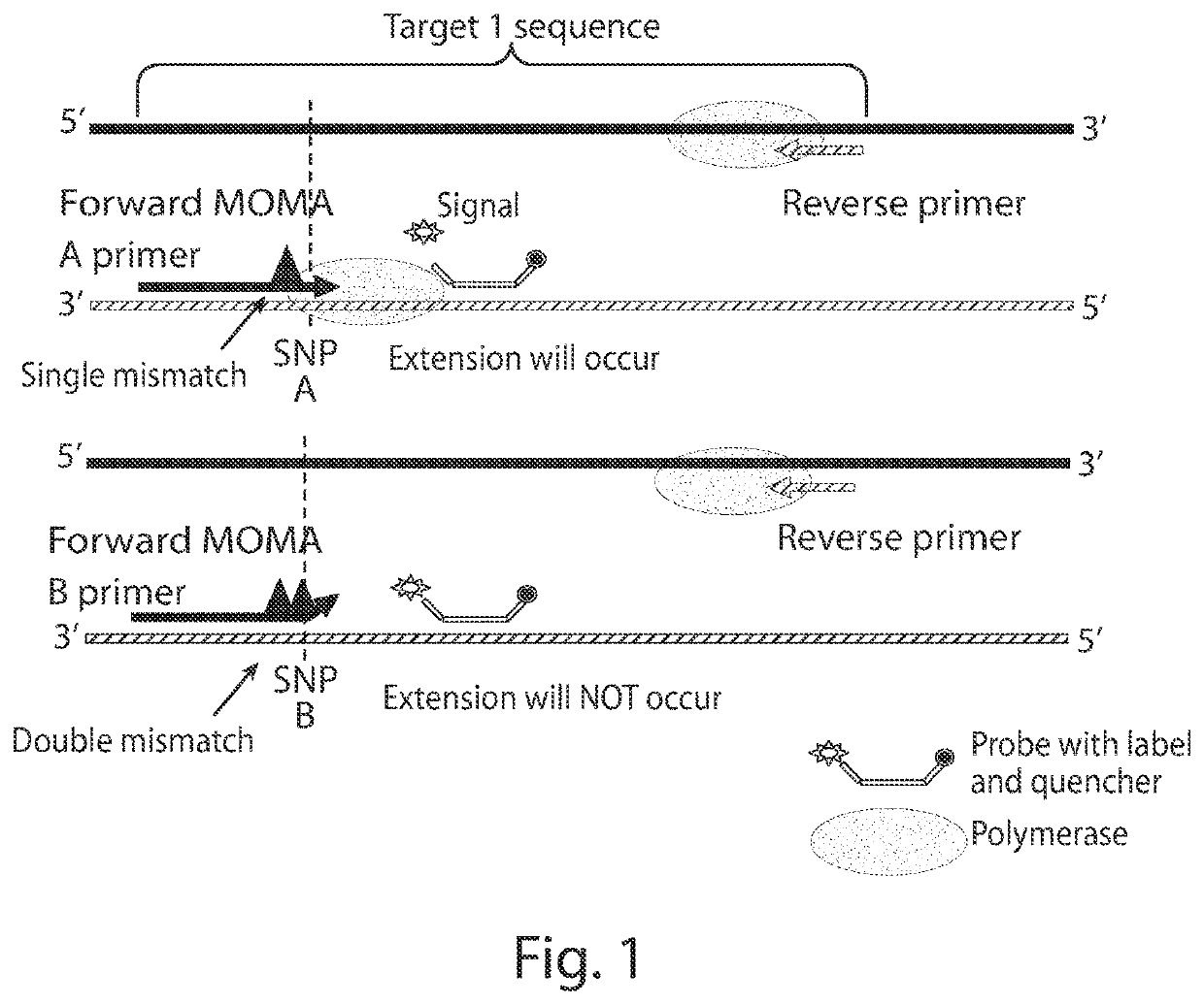 Methods for assessing risk using total and specific cell-free DNA