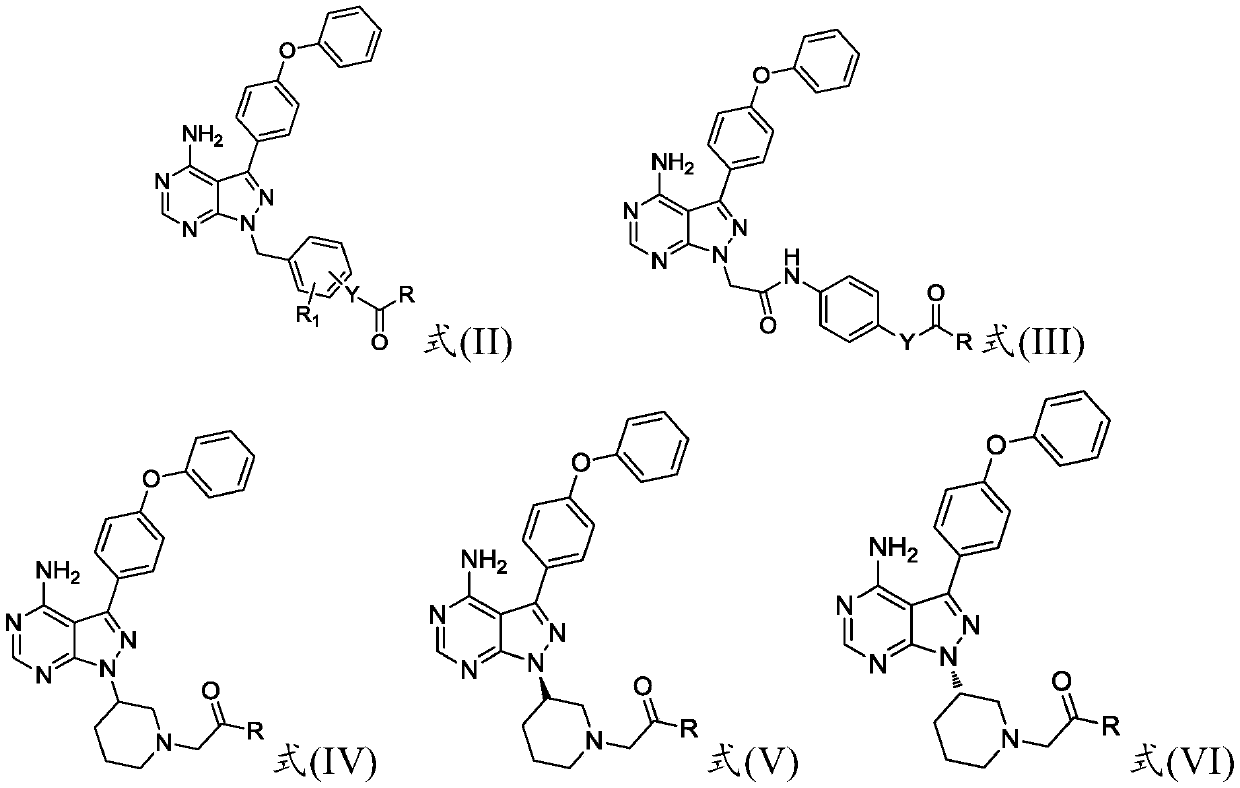 Preparation method and applications of 4-phenoxy phenyl pyrazolopyrimidine amide derivative