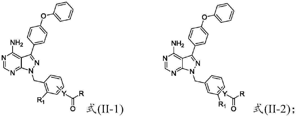 Preparation method and applications of 4-phenoxy phenyl pyrazolopyrimidine amide derivative