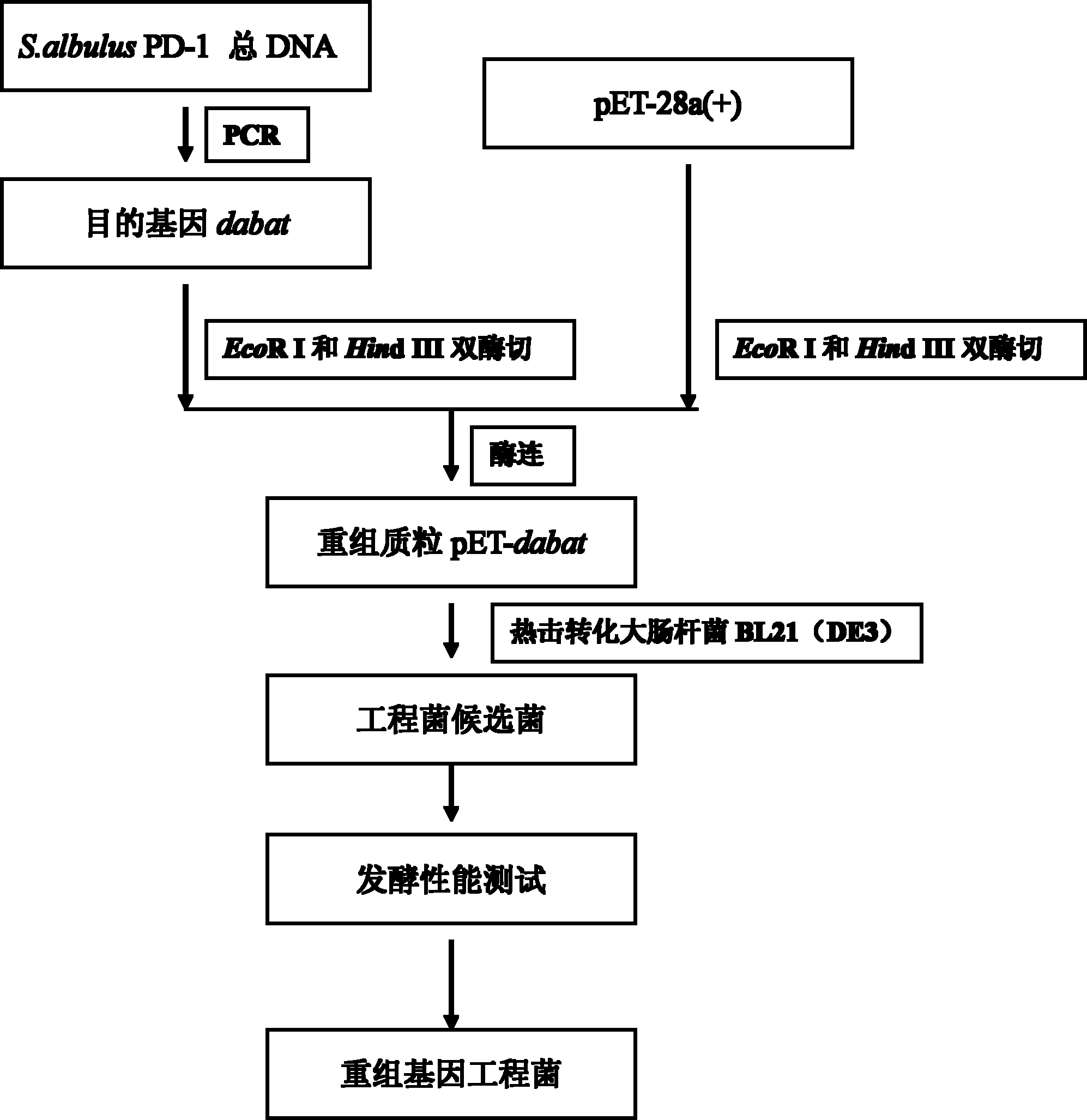 Diaminobutyrate-2-oxoglutarate transaminase and application thereof