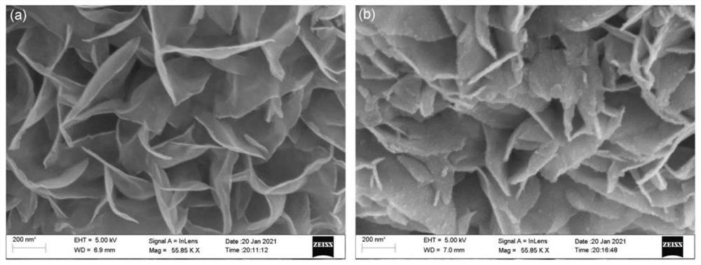 A method for preparing iron tannate coordination modified molybdenum disulfide hydrogel dressing