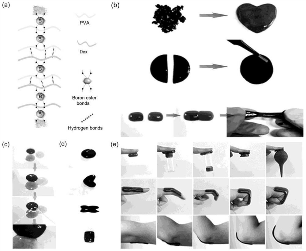 A method for preparing iron tannate coordination modified molybdenum disulfide hydrogel dressing