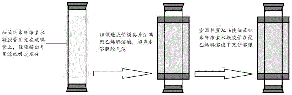 Porous elastic polyvinyl alcohol/bacterial nanocellulose composite hydrogel tube and its preparation method and application