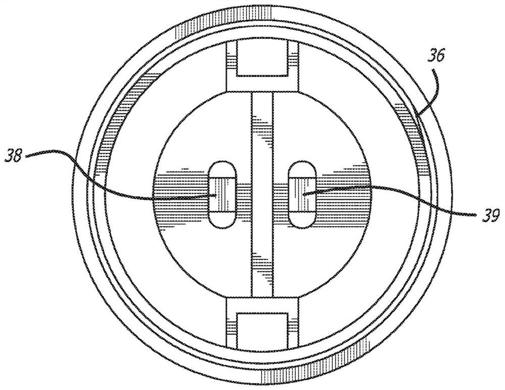 Method and apparatus for treating female urinary incontinence and fecal incontinence