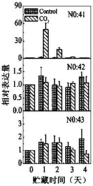 A method for cloning and transient expression of genes related to persimmon deastringency