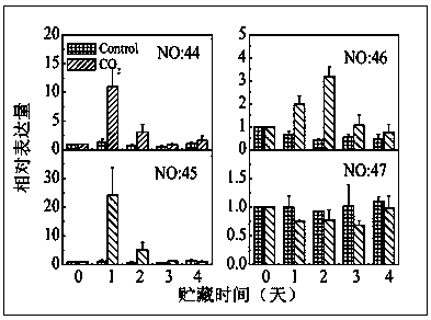 A method for cloning and transient expression of genes related to persimmon deastringency