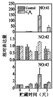 A method for cloning and transient expression of genes related to persimmon deastringency