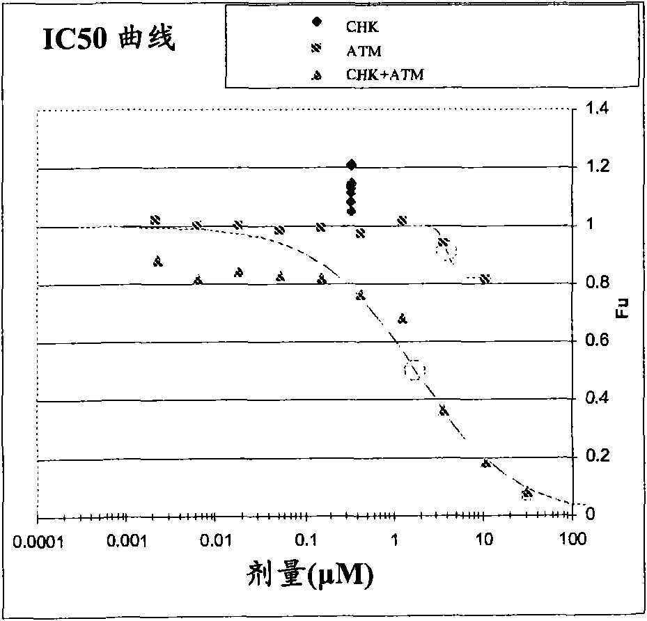 Combination of checkponit kinase ( CHK) and telangiectasia mutated (ATM) inhibitors for the treatment of cancer