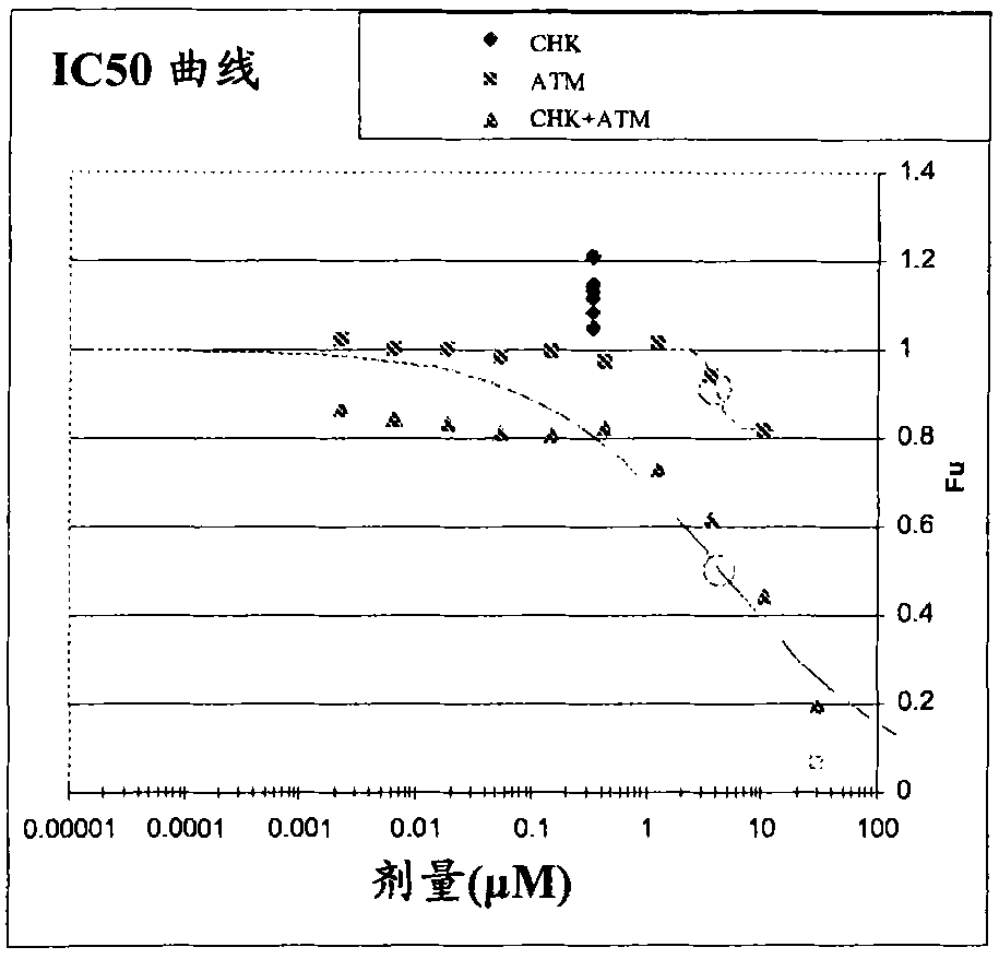 Combination of checkponit kinase ( CHK) and telangiectasia mutated (ATM) inhibitors for the treatment of cancer