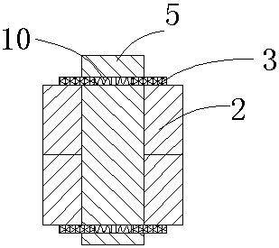 Branch trimming device for plant protection