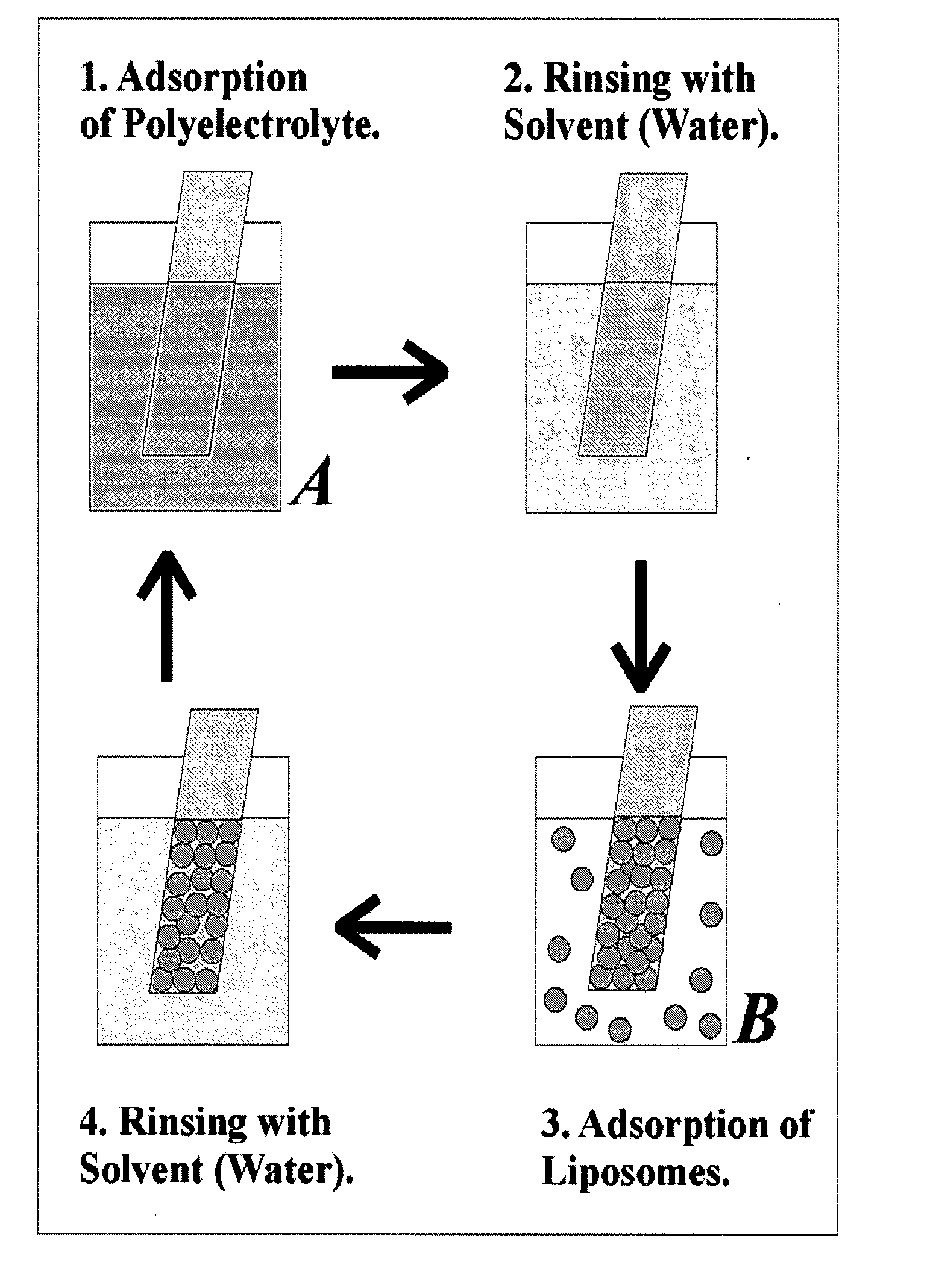 Materials containing multiple layers of vesicles
