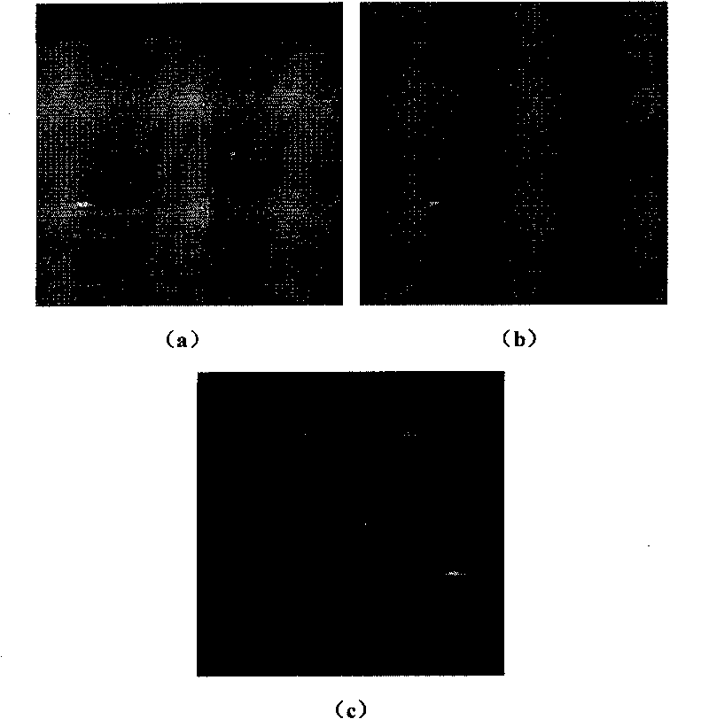Method for obtaining spectrum-integrated time-varying target optical spectrum information and device thereof