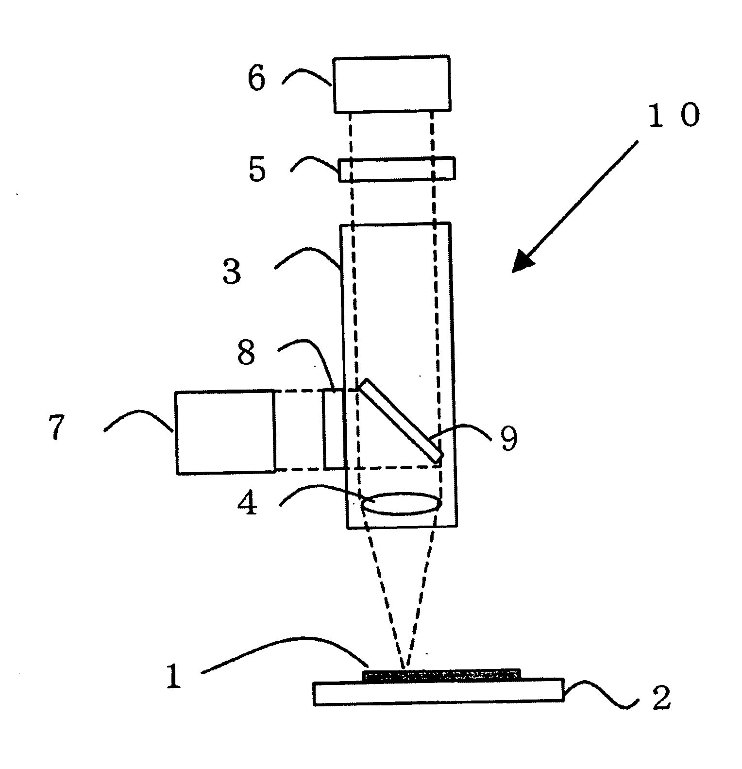 Method of detecting viable cells
