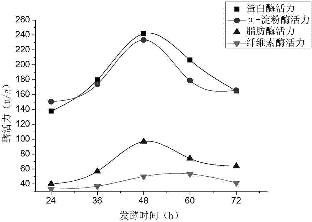 Peanut fermented bean curd and production method thereof