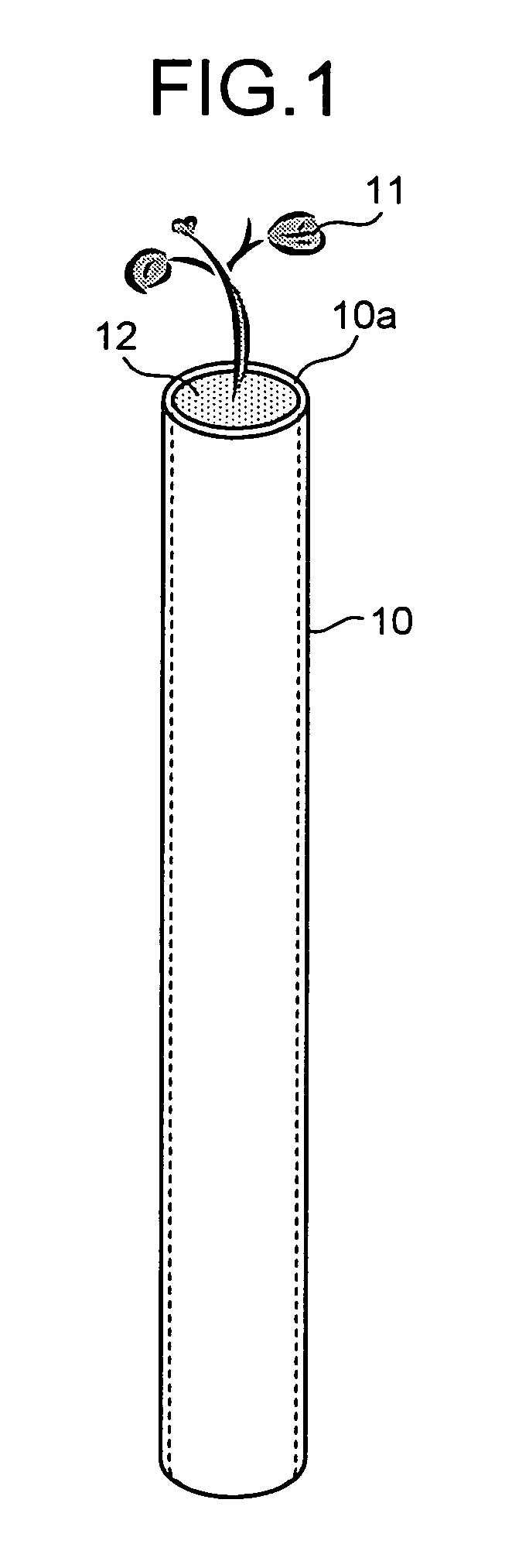 Tool, system, method, and plant for promoting growth of seedling, seedling set for planting, and planting method