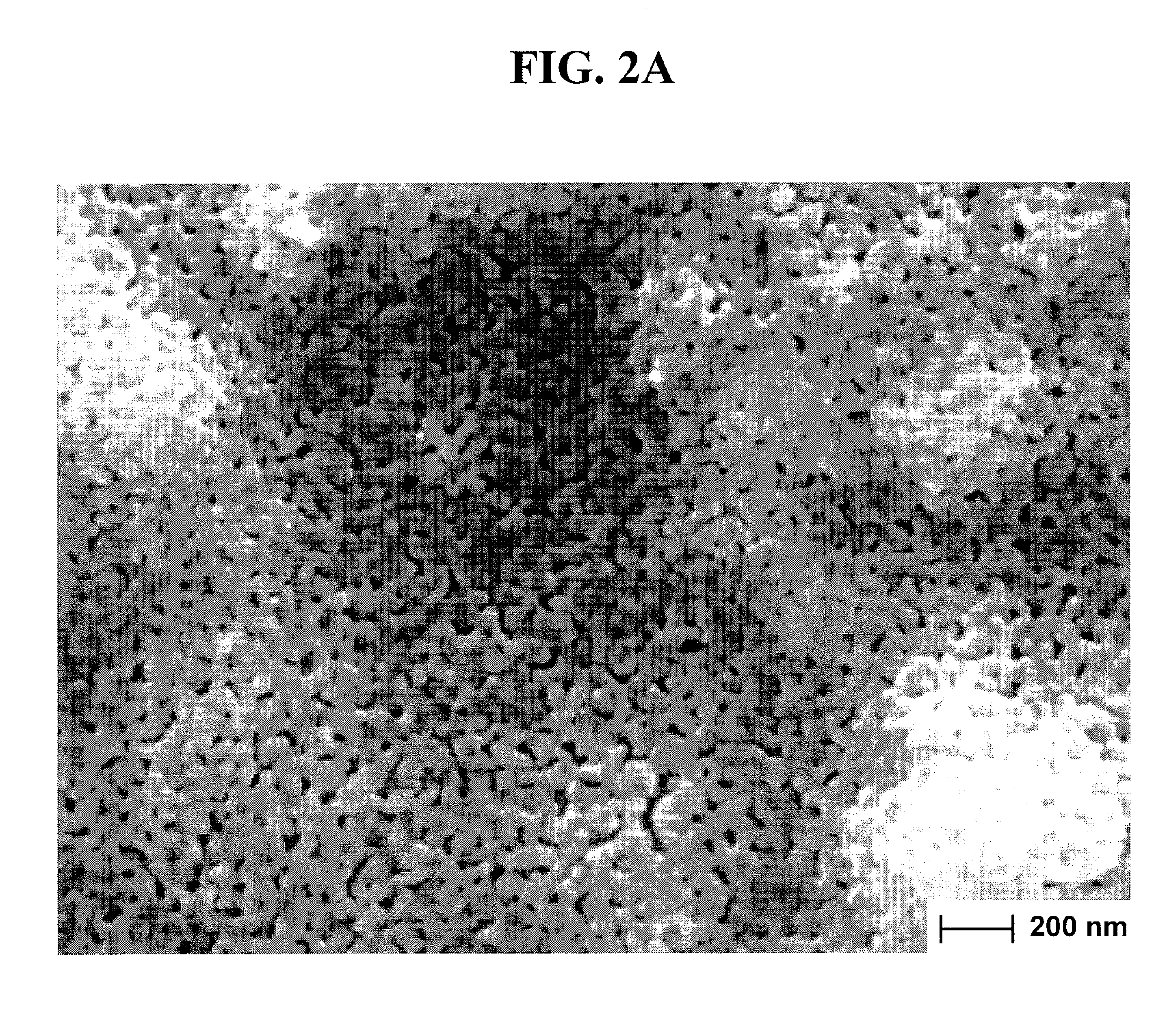Method for preparing metal oxide sol, method for preparing metal oxide thin film using said sol, and solid oxide fuel cell comprising said thin film