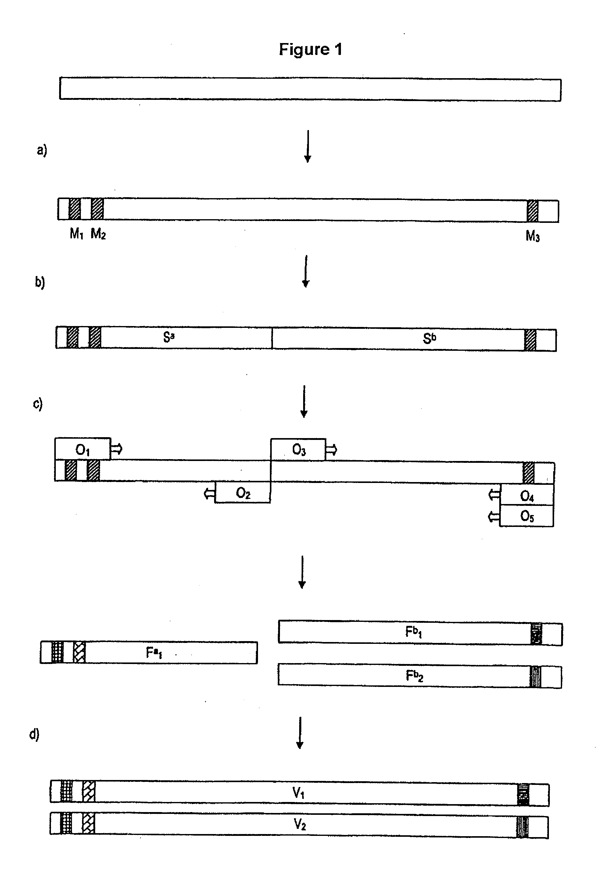 Process for Generating a Variant Library of DNA Sequences