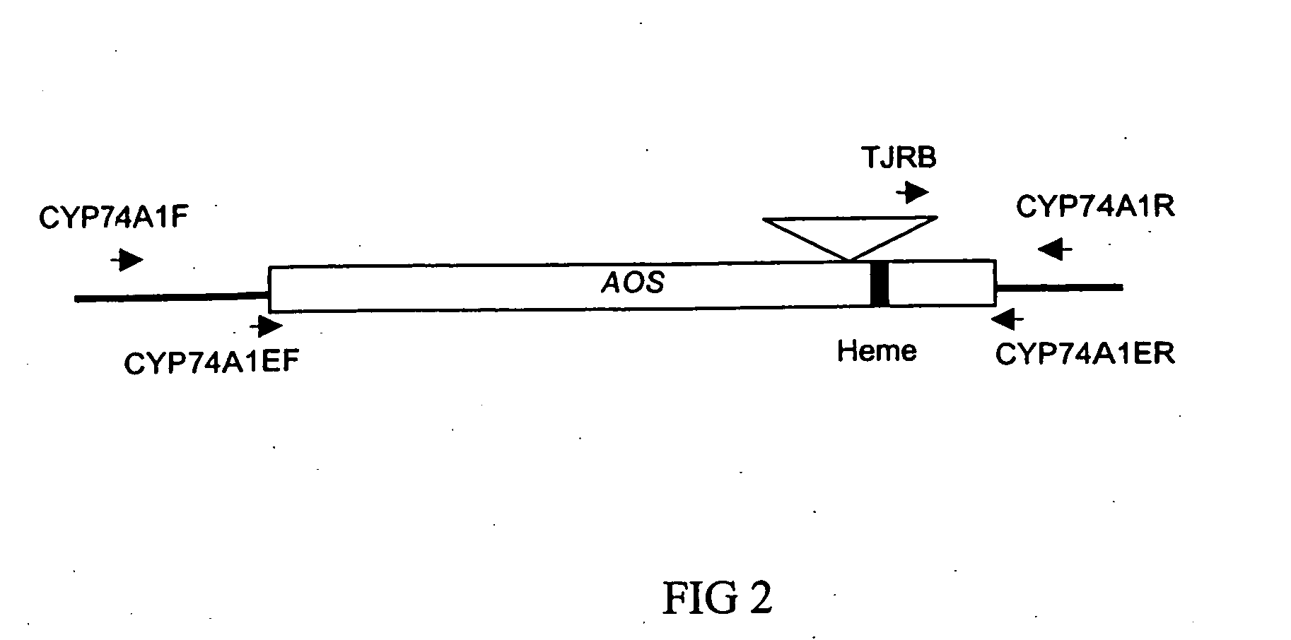 Methods of controlling reproduction in plants