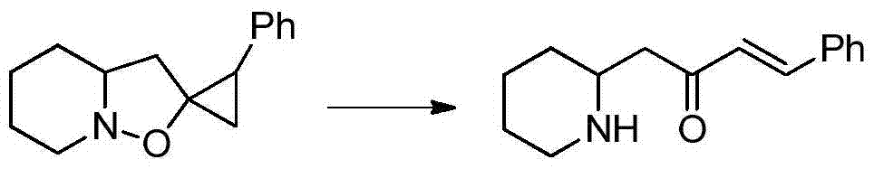 A kind of synthetic method of pharmaceutical intermediate condensed heterocyclic ketone compound